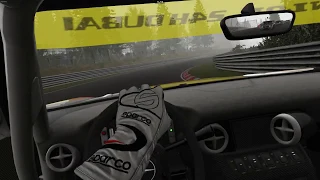 Assetto Corsa - Foggy GT3 Race @ Nordschleife - Trackir 5