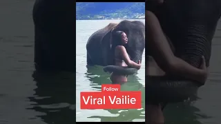 #viralvailie #voiceover #elephant #animal #comedy #fyp #funny #shorts