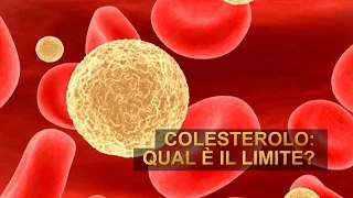 Colesterolo: qual è il limite?