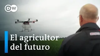 La granja del futuro - Drones, robots y esperma optimizado  | DW Documental