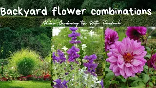 BACKYARD FLOWER & PLANT COMBINATION IDEAS #nature #urbanfarming #citygardening #flowers #garden