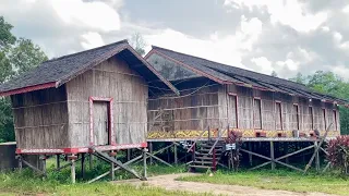 Suasana perkampungan Dayak ahe di Kalimantan barat