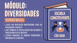 [Derecho y diversidades 1] Rodrigo Mallea