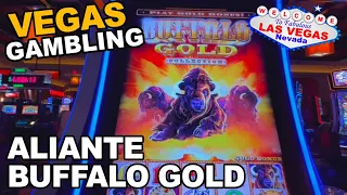 Buffalo Gold? at Aliante Casino, Las Vegas