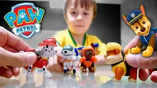 PAW PATROL: ALL CHARACTERS TOYS FOR KIDS!!