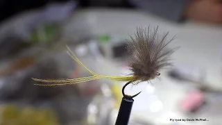 Tying a CDC Hatchmaster Dry Fly with Davie McPhail