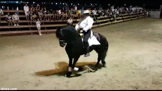 Doma de caballos fiestas del Loreto Xàbia