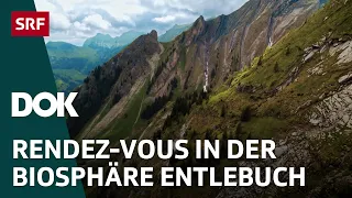 Naturpärke der Schweiz – Unesco Biosphäre Entlebuch (4/5) | DOK | SRF