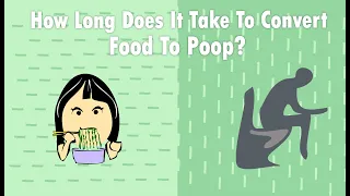 How Long Does It Take To Convert Food To Poop?