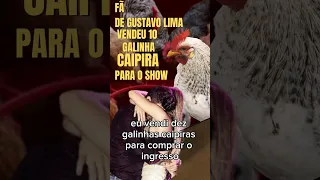 "Fã surpreende Gusttavo Lima ao revelar que vendeu 10 galinhas para estar no show"