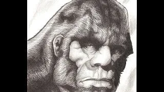 Patterson Gimlin Creature   Frame 352   A Dredfunn Time Lapse Pencil