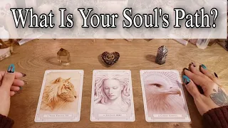 💛👑 What Is Your Soul's Path? 👑💛 Pick A Card Tarot Reading 🌞 Souls Purpose & Spiritual Gifts