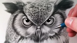 How to Draw an Owl