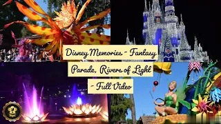 Disney - Magic Kingdom Fantasy Parade & Light Show, Animal Kingdom Rivers of Light | USA Tamil VLOG