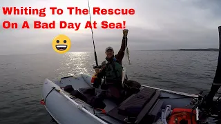 Whiting To The Rescue On A Bad Day At Sea!