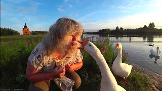 "АЛЁШКИНЫ ПРУДЫ"   ОДНО ИЗ САМЫХ КРАСИВЫХ МЕСТ ДЛЯ ОТДЫХА И РЫБАЛКИ В КАЛУЖСКОЙ ОБЛАСТИ.