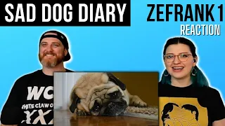 "Sad Dog Diary" @zefrank | HatGuy & Nikki react