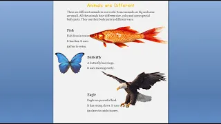 Animals- animals are different