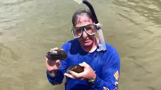 Lake Sinclair- Freshwater Mussels