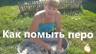 Как помыть перо.