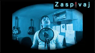 "Ніч яка місячна"  cover by Zaspivaj