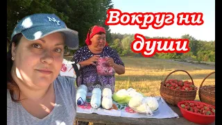 VLOG ПОБРИЛА НАЛЫСО. Зато не опоздали. Украина #нетвойне