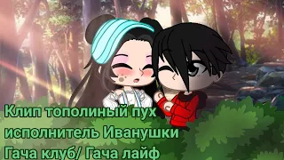 Клип тополиный пух исполнитель Иванушки Гача клуб/ лайф/ нокс