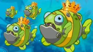 НОВАЯ РЫБА КЛОУН Баги в игре EATME IO игра Рыбки онлайн  Hungry fish fun game