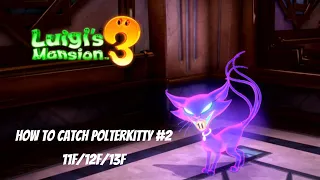 Luigi's Mansion 3: 13F/12F/11F How to Catch Polterkitty playthrough/walkthrough