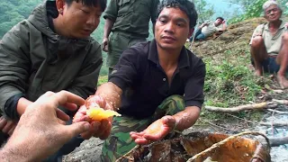 Hallucinogen Honey Hunters - Hunting Mad Honey - Full Documentary