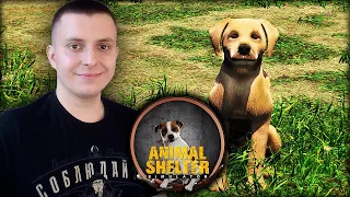 НАШ ПРИЮТ ДЛЯ ЖИВОТНЫХ ▷ Animal Shelter Simulator