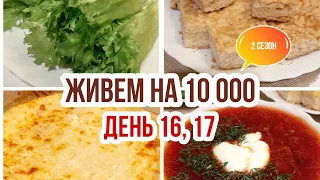 Живем на 10000 в месяц/Экономное питание семьи из 3 человек/День 16, 17/Фудбук