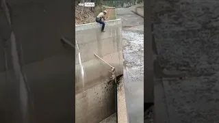 Lion cubs rescued from dam