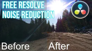 Free Noise Reduction - What you need to know in Davinci Resolve Free