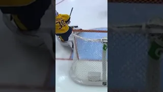 Puck goes Through the Net