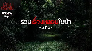 รวมเรื่องหลอนในป่า ชุดที่ 3 [เล่าเรื่องผี] | เล่าไปหลอนไป SPECIAL EP. |