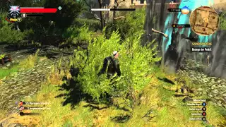 The Witcher 3 - Pedell Bossfight - Easy Going