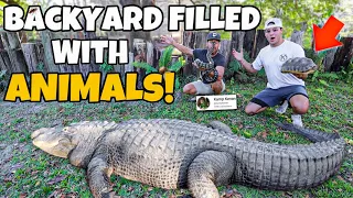 Visiting the MOST INSANE BackYard FULL of REPTILES!!