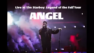 The Weeknd - Angel -  [Live at The Starboy: Legend of the Fall Tour]