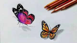 How to draw a butterfly with color pencil