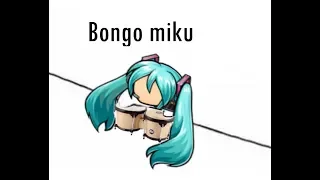 Levan Polka - Bongo Cat