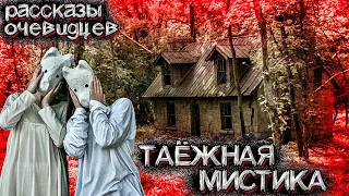 Таинственные Случаи в Якутской Тайге. 10 Неразгаданных Событий | Страшные Истории на ночь