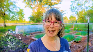 My Morning in the Garden | Fertilizer, Tomatoes, Squash, ALL THE THINGS