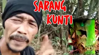 Kahirupan dikolong awi-BAMBU PETUK DI ALAM, KETEMUNYA MALAH BAMBU UNIK