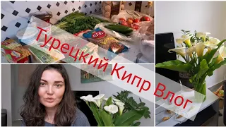 ШОК от счетов. НОВОСТИ об открытии туризма. ЦЕНЫ на продукты. Северный Кипр.