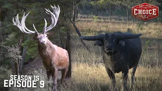 Global Big Game Encounters - The Choice (Full Episode) // S15: Episode 9