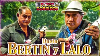 Dueto Bertin y Lalo 🔥 Lo Mejor de Lo Mejor Musica Mexicana 🔥 Puros Corridos y Rancheras Para Pistear