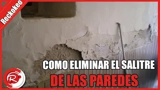 Como eliminar el salitre de las paredes