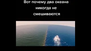 Вот почему два океана некогда не смешиваются!?