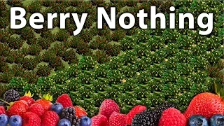 Berry Nothing!?